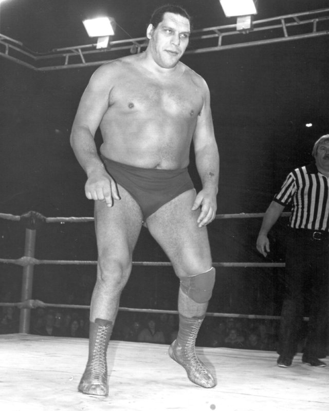 Image of Andre Rene Roussimoff, the giant