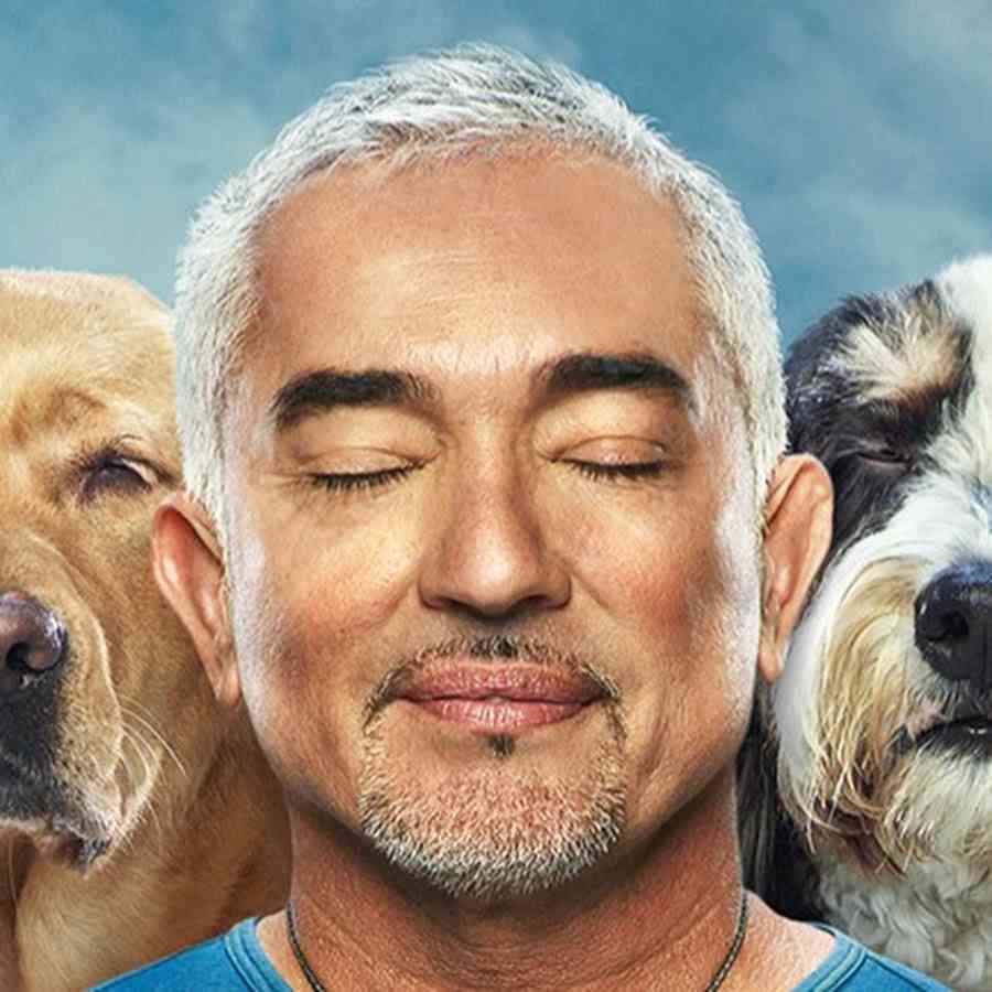 Image of Mexican-American dog trainer, Cesar Millan