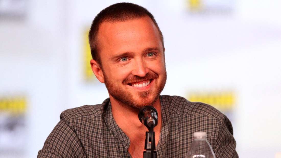 Facts about Aaron Paul height, age, wife